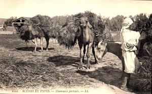Images d'Algerie 186